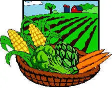 farm-basket.webp