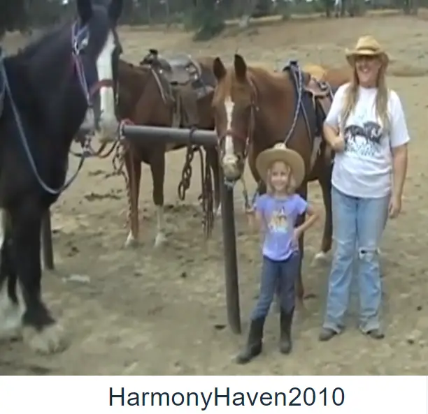 harmony-haven-2010.webp