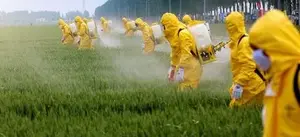 pesticides.webp