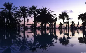 trees-palm-purple-paradise.webp