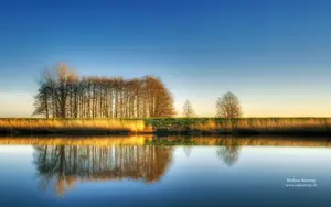 trees-reflecting-off-lake.webp